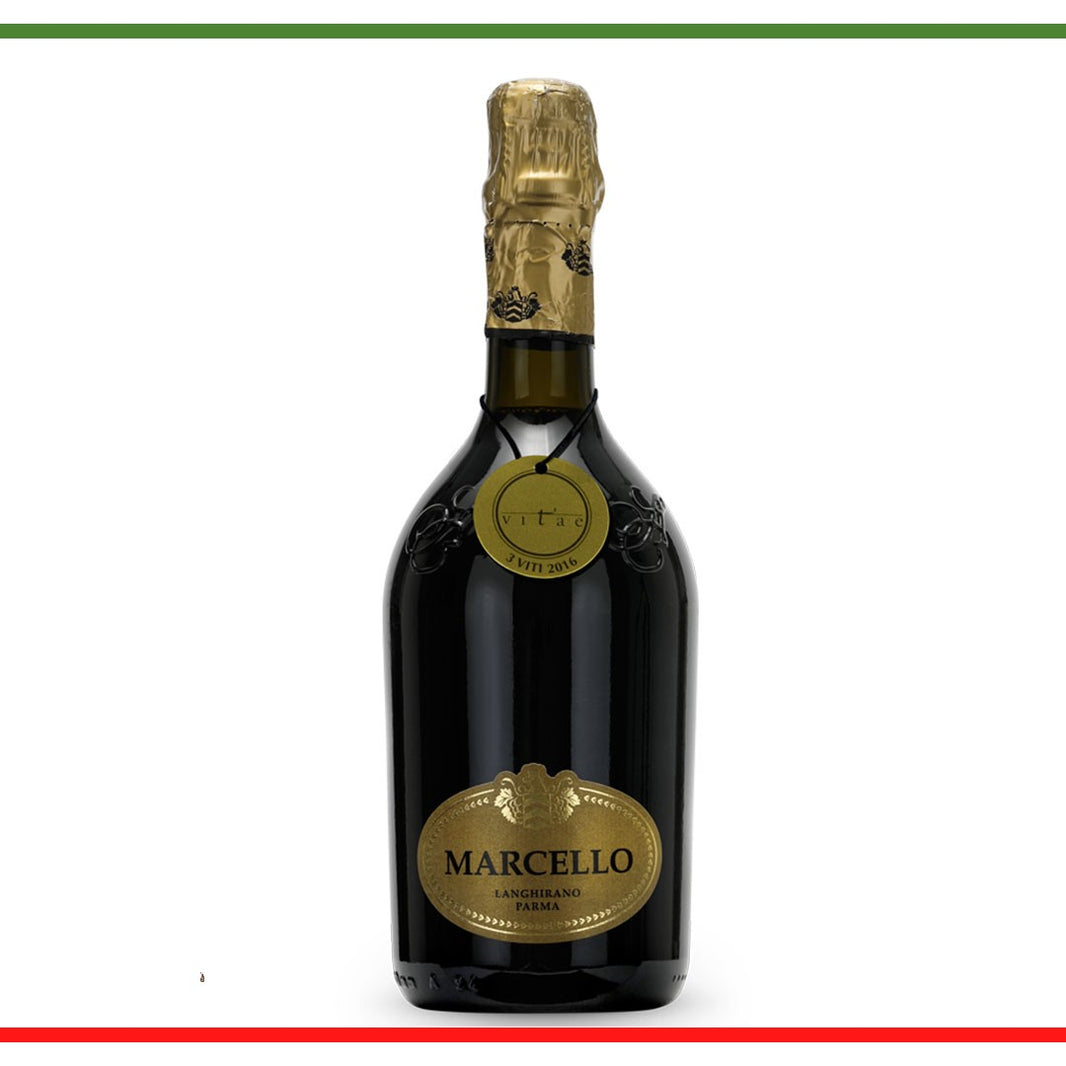 Lambrusco Marcello vin roșu frizante 75cl